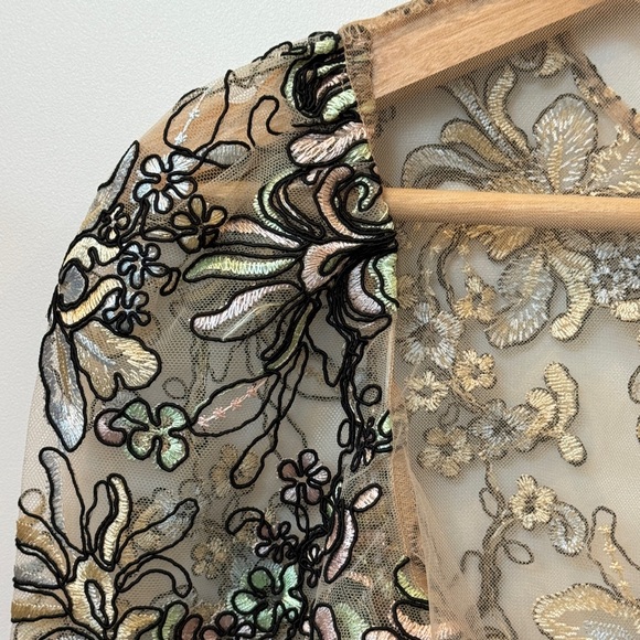 Topshop Embroidered Sheer Floral Lace Blouse - Picture 9 of 12